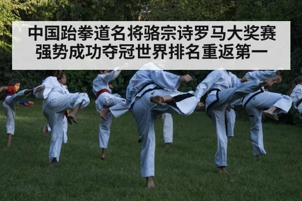 taekwondo kick
